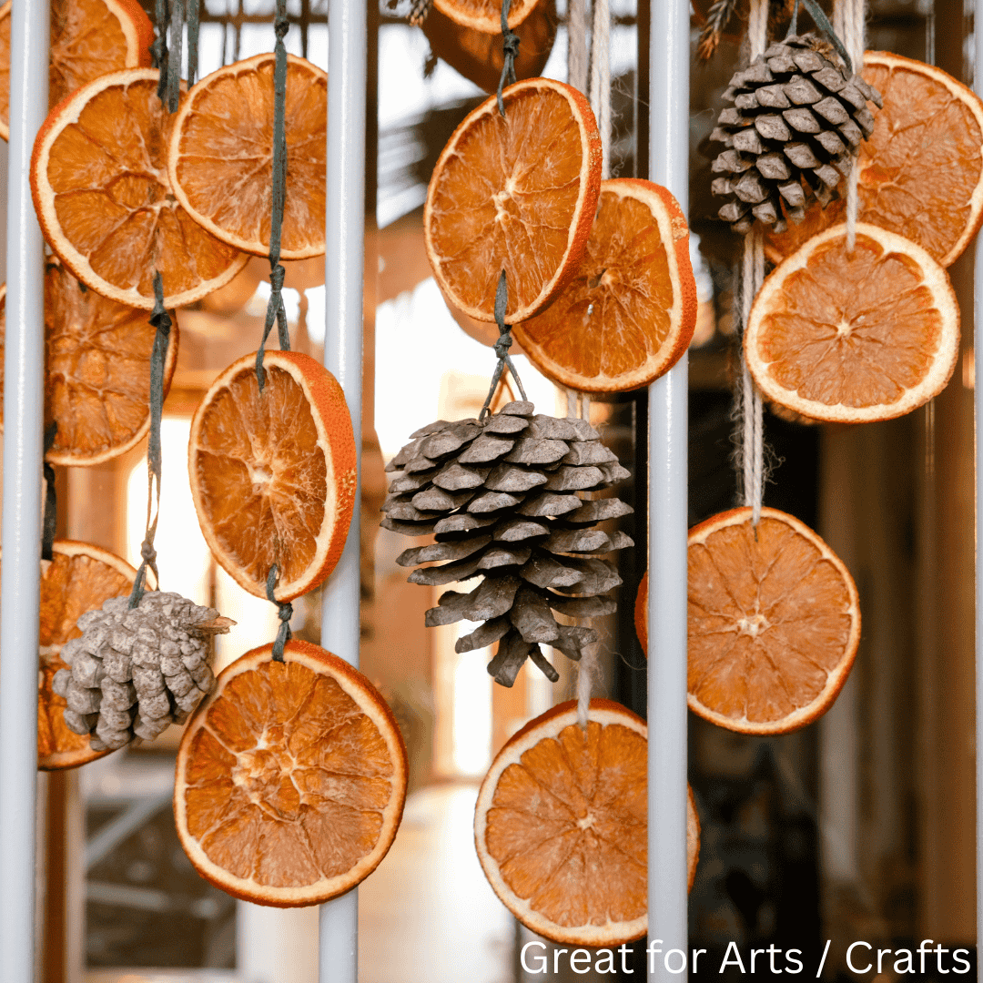 Tranches d'orange déshydratées – Naturelles et sans conservateurs | Idéales pour les cocktails à base de tequila et de mezcal, le thé, la pâtisserie, les garnitures et la décoration