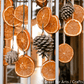 Dehydrated Orange Slices – All-Natural & Preservative-Free | Perfect for Tequila & Mezcal Cocktails, Tea, Baking, Garnishes & Décor